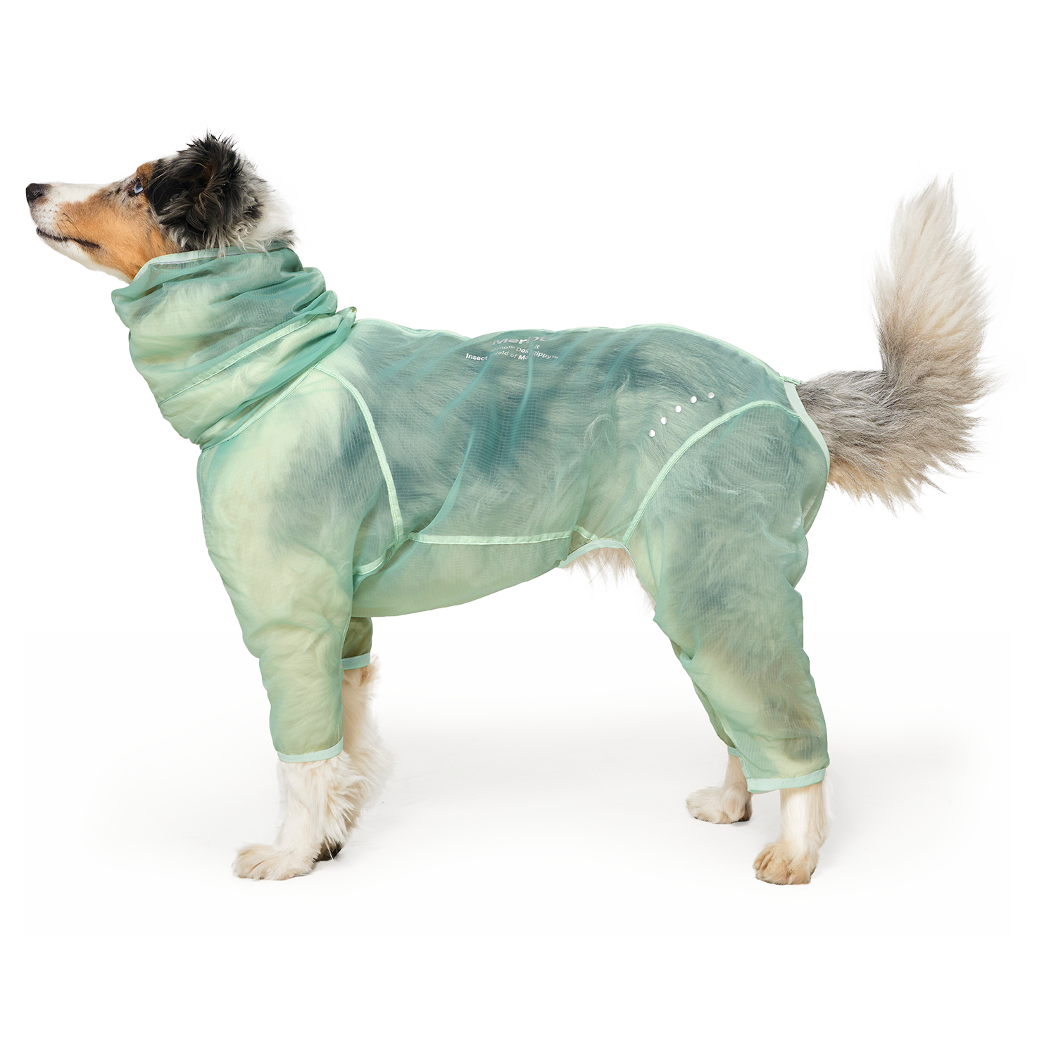 MonoLight™ Suit Sumbi