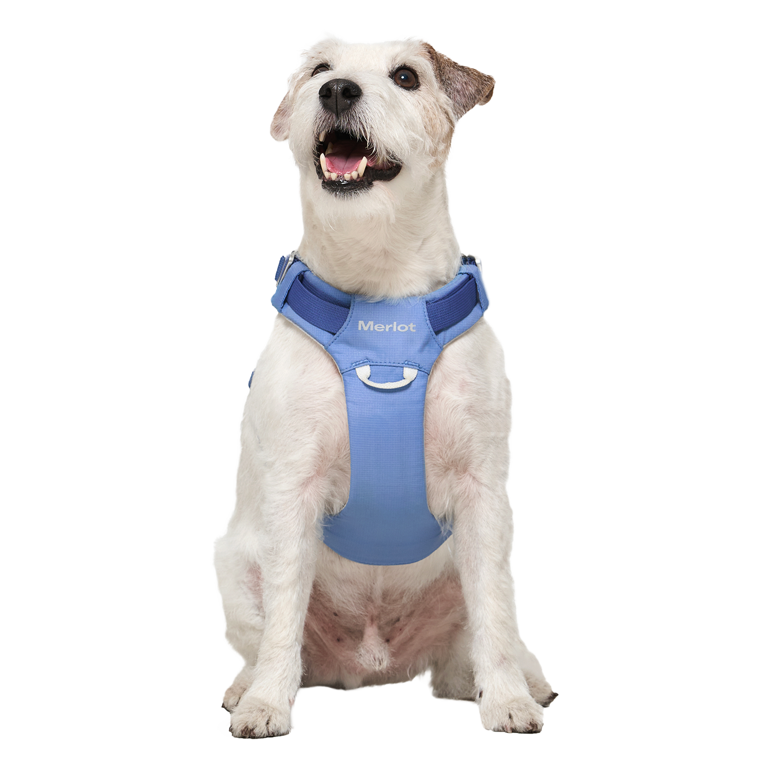 Ardor™ Harness Blue Stone