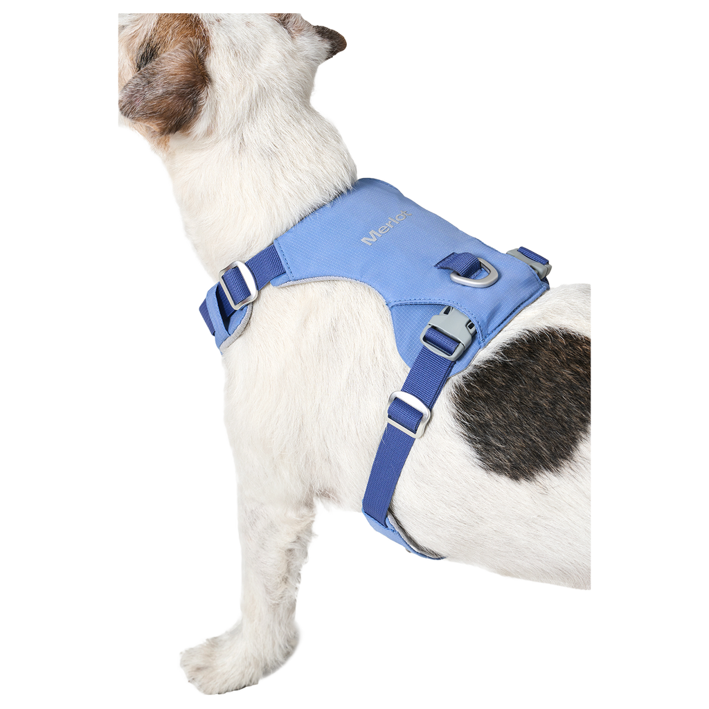 Ardor™ Harness Blue Stone