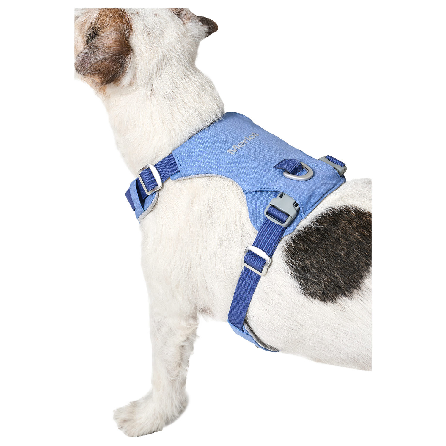 Ardor™ Harness Blue Stone