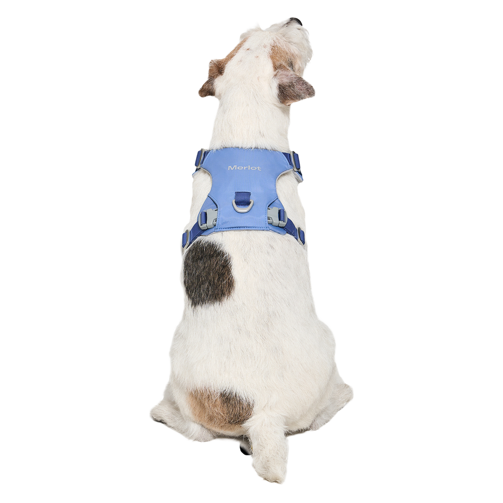 Ardor™ Harness Blue Stone