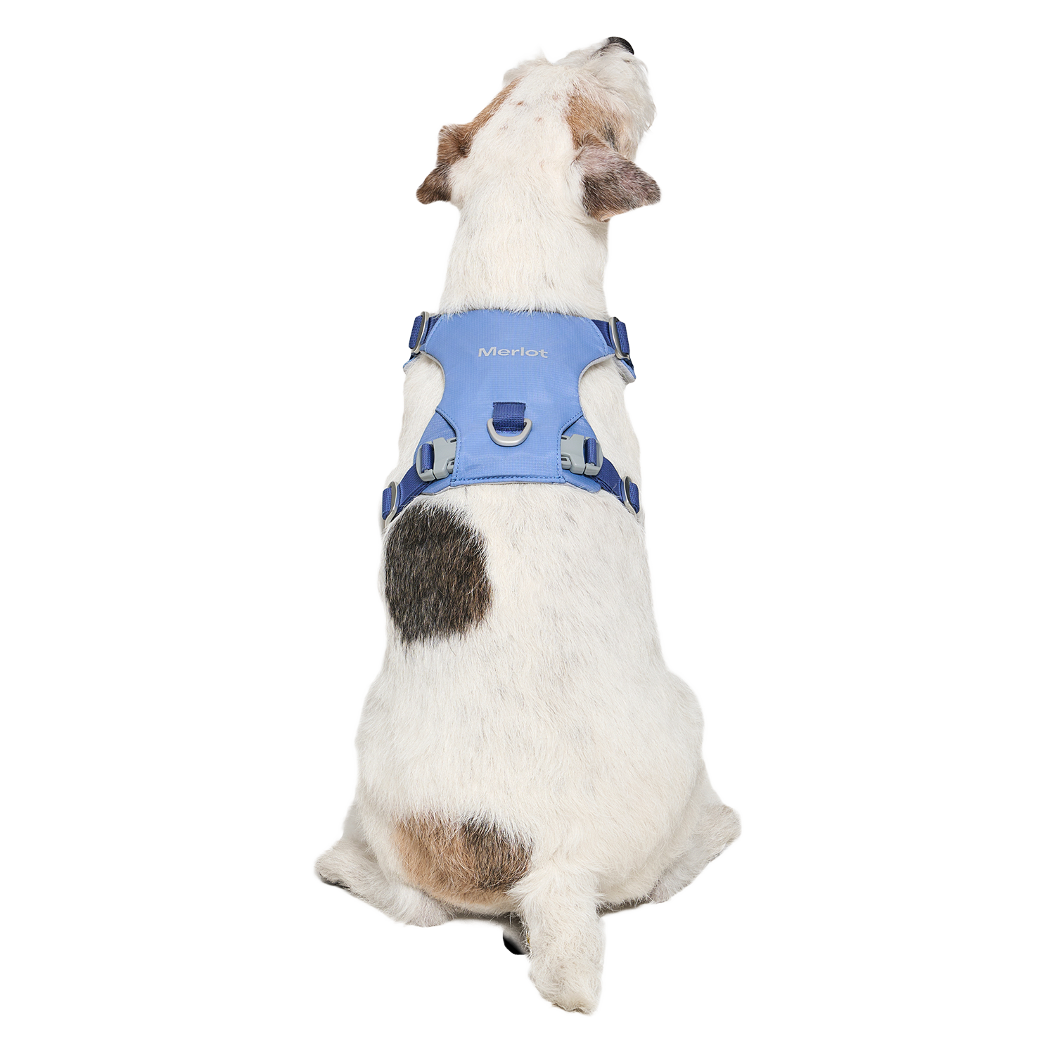 Ardor™ Harness Blue Stone