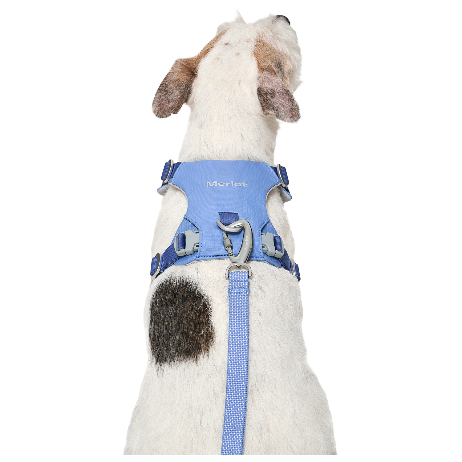 Ardor™ Harness Blue Stone