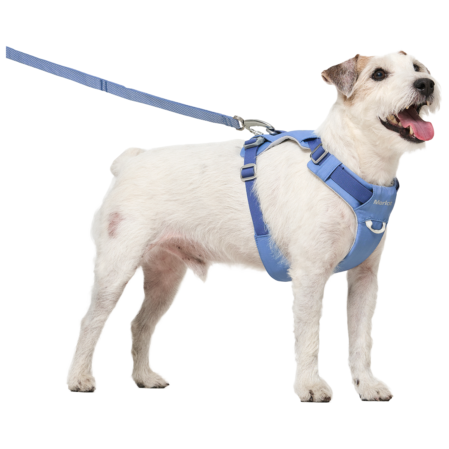 Ardor™ Harness Blue Stone