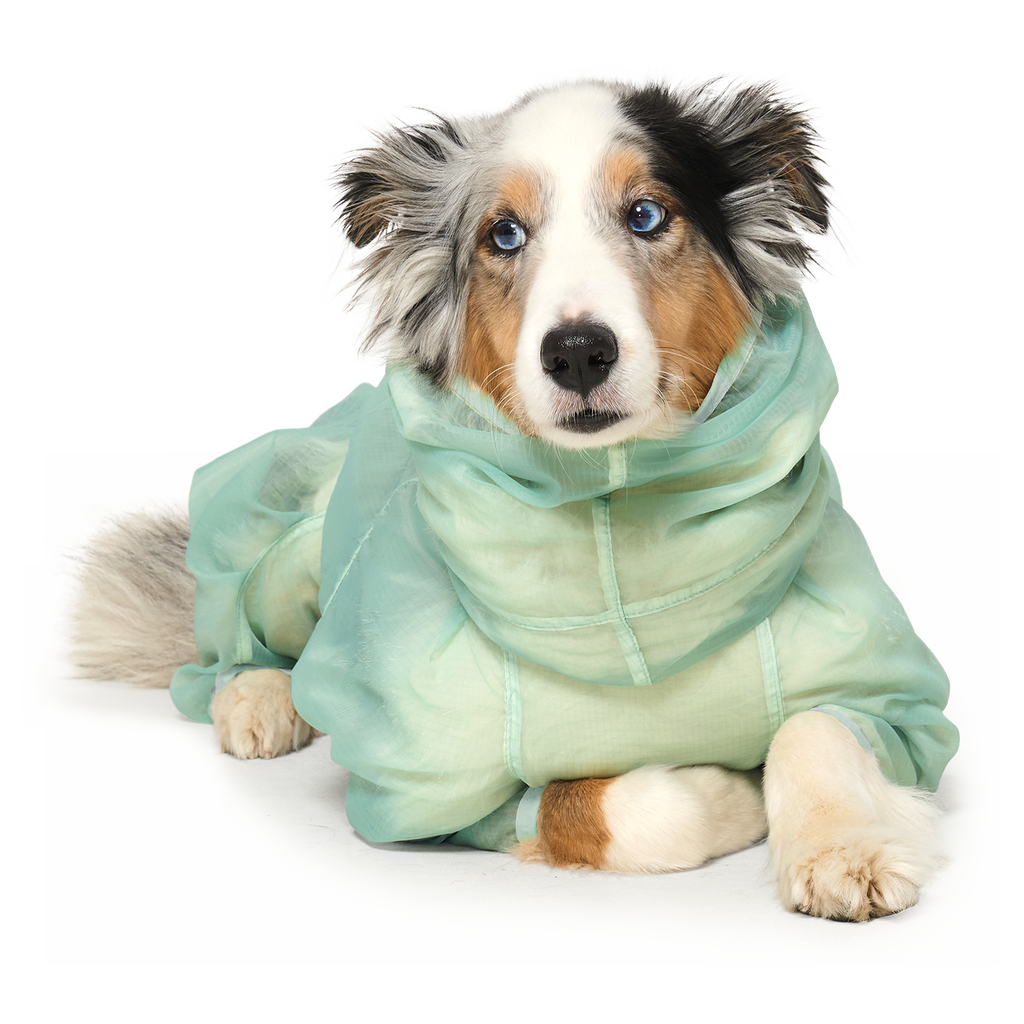 MonoLight™ Suit Sumbi