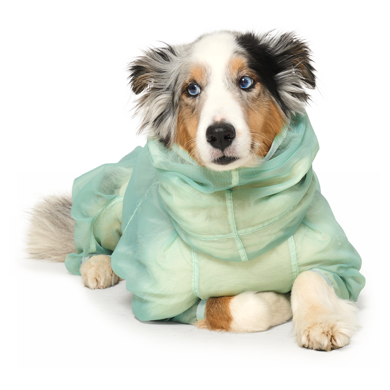 MonoLight™ Suit Sumbi