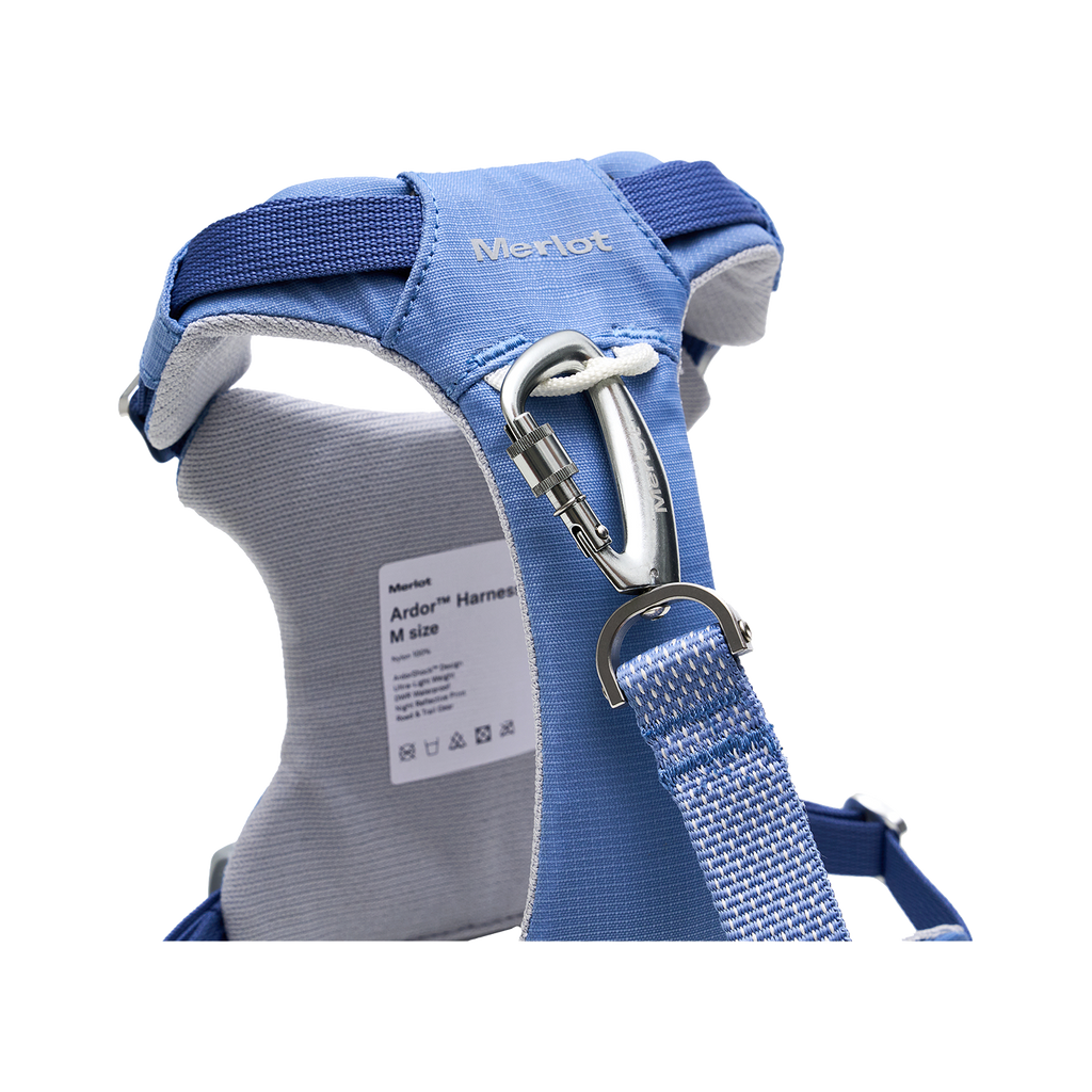 Ardor™ Harness Blue Stone
