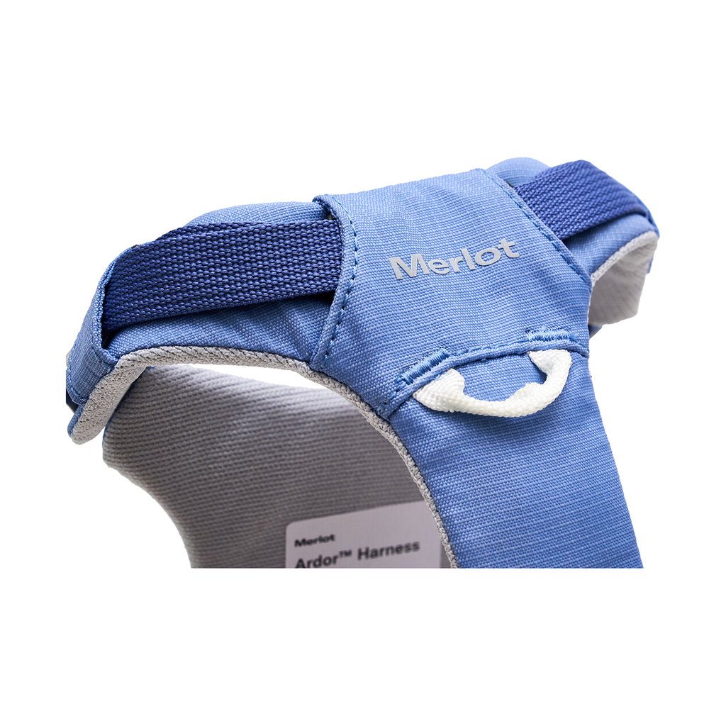 Ardor™ Harness Blue Stone