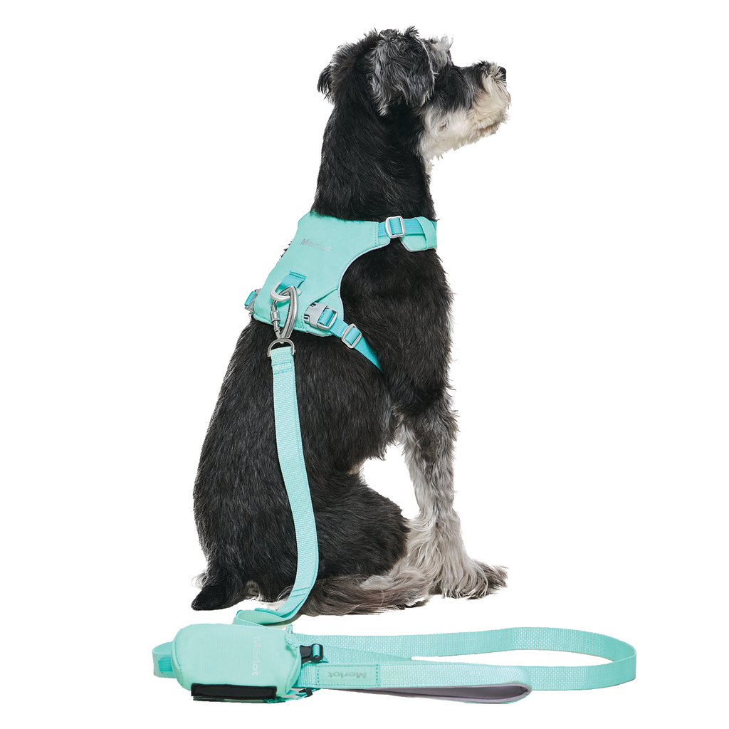 Ardor Free Leash Mint — hands-free 3-way dog leash by Merlot, carried by Ondo