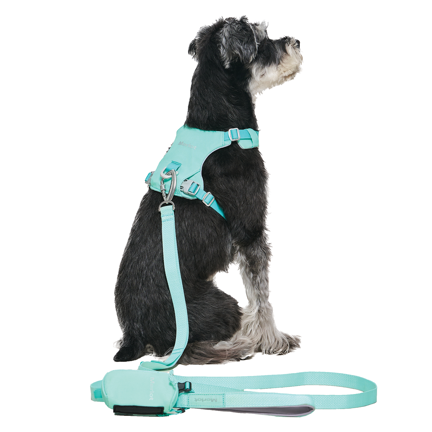 Ardor Free Leash Mint — hands-free 3-way dog leash by Merlot, carried by Ondo