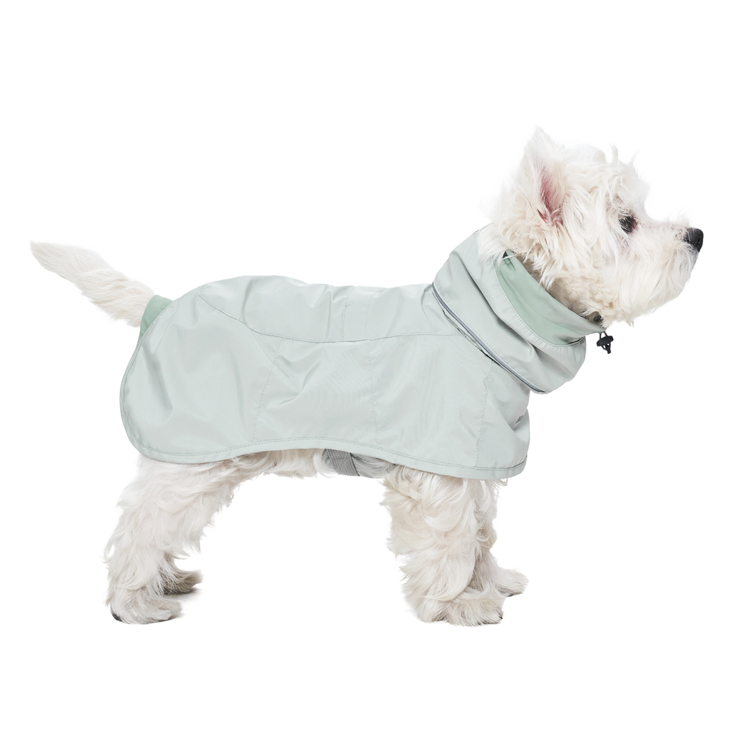 Ain™ Coat 4 Lime Stone