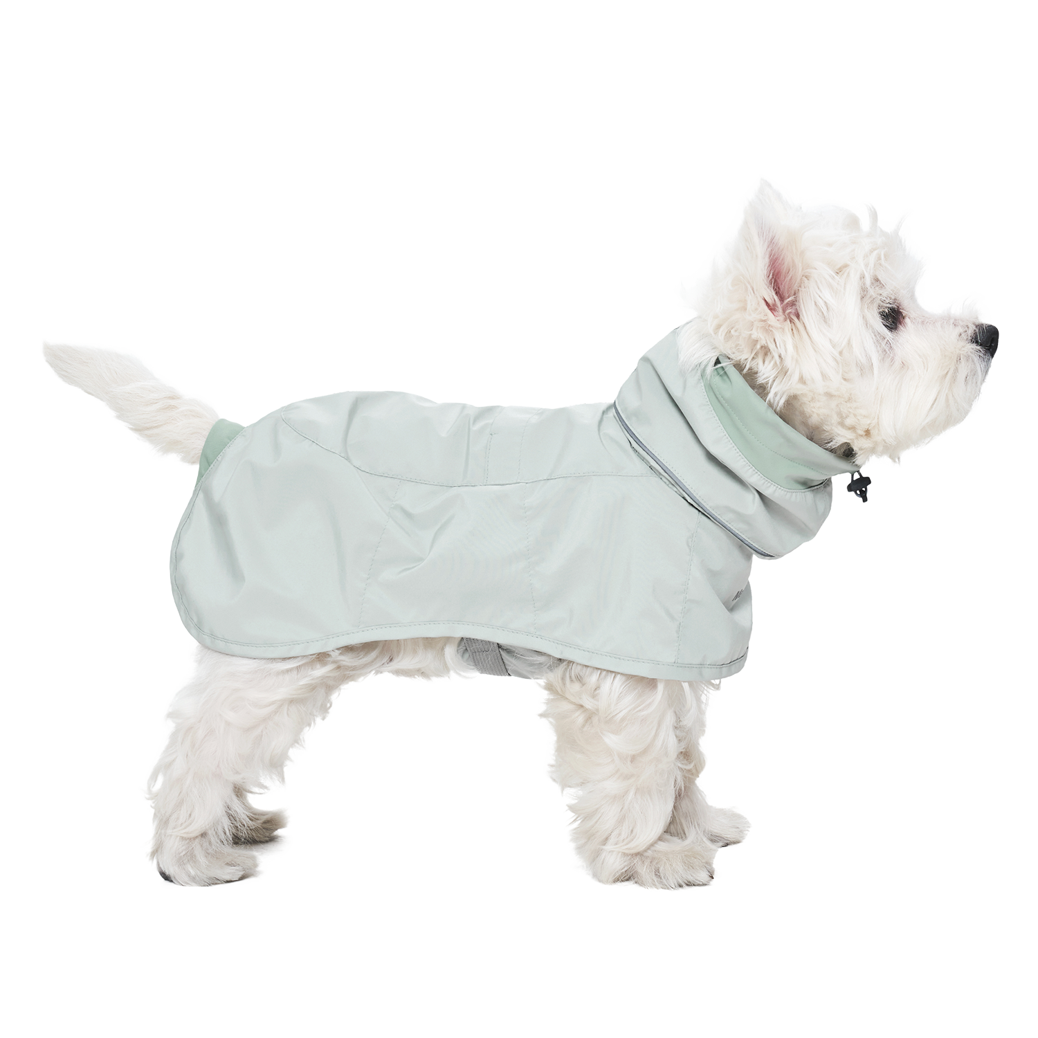 Ain™ Coat 4 Lime Stone
