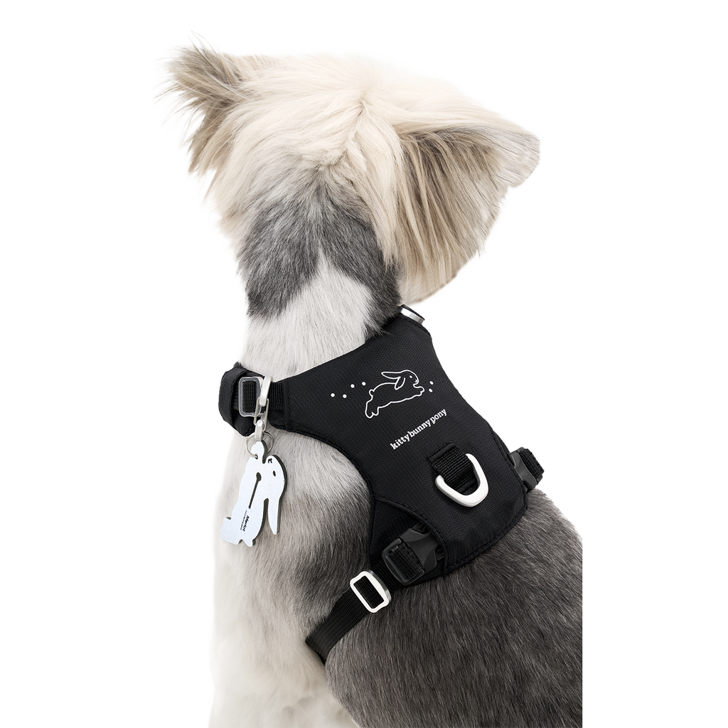 Bunny™ Harness x Kitty Bunny Pony