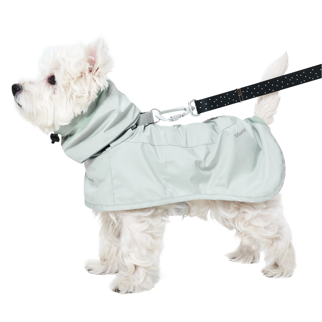 Ain™ Coat 4 Lime Stone