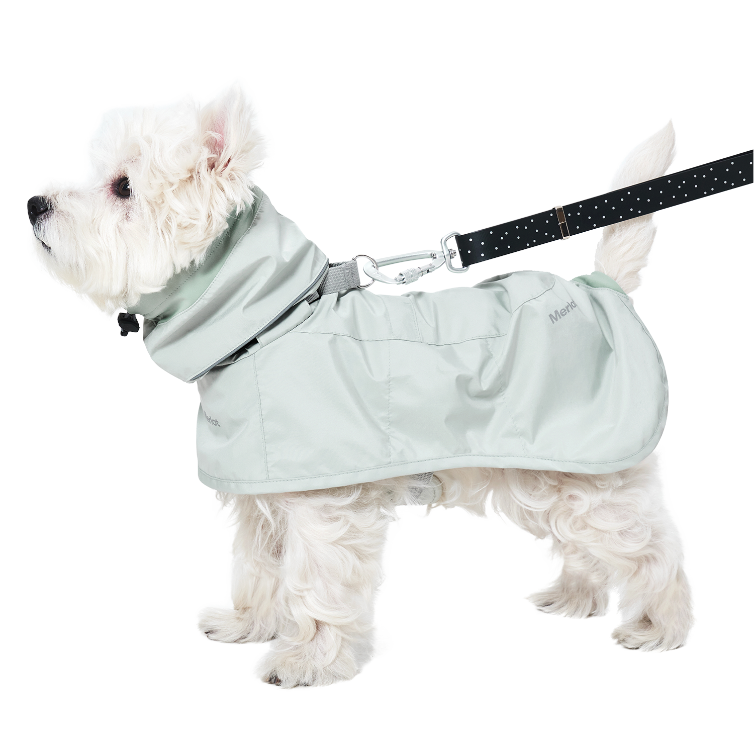 Ain™ Coat 4 Lime Stone
