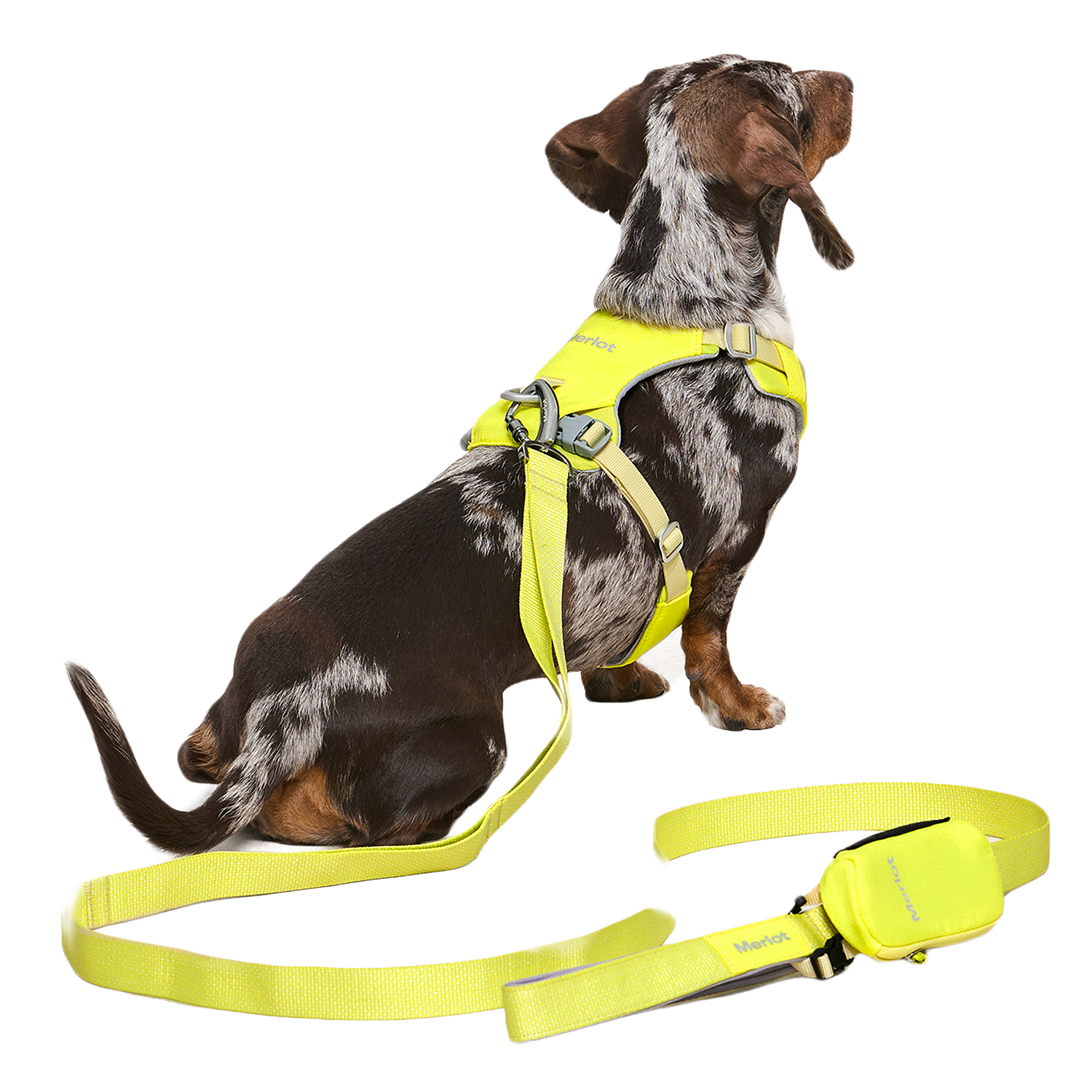 Ardor Free Leash Lemon — hands-free 3-way dog leash by Merlot, carried by Ondo