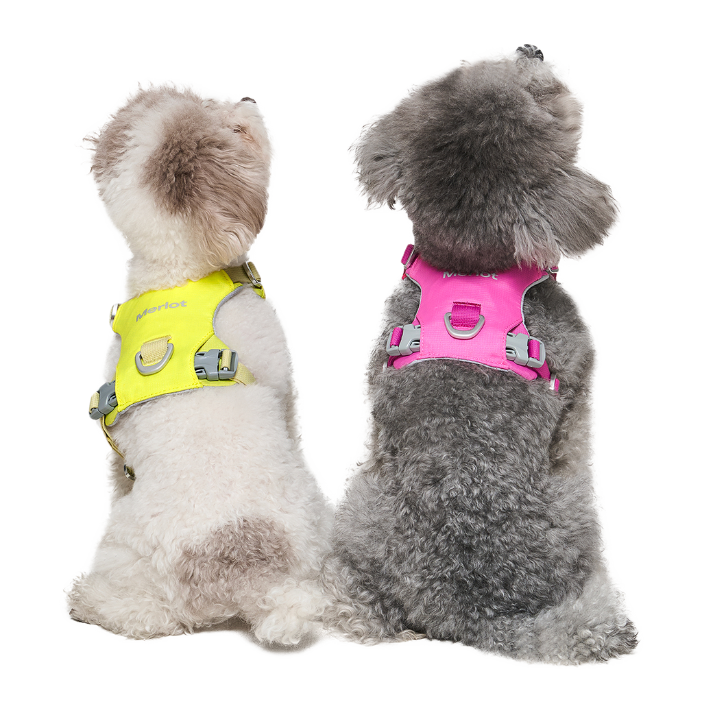 Ardor™ Harness Lemon Stone