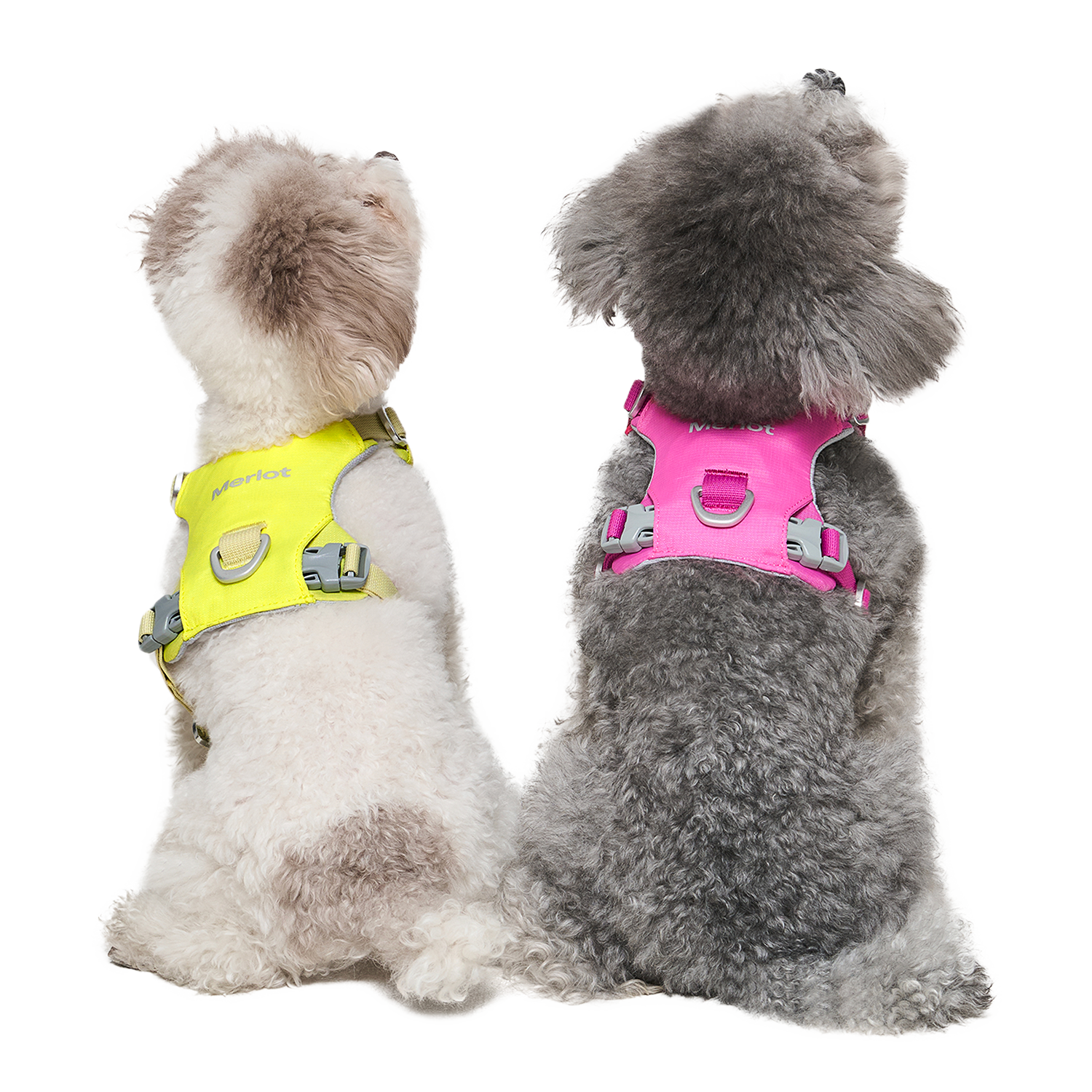 Ardor™ Harness Lemon Stone
