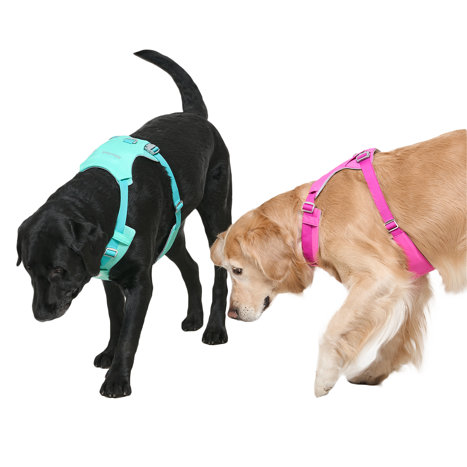 Ardor™ Harness Mint Stone