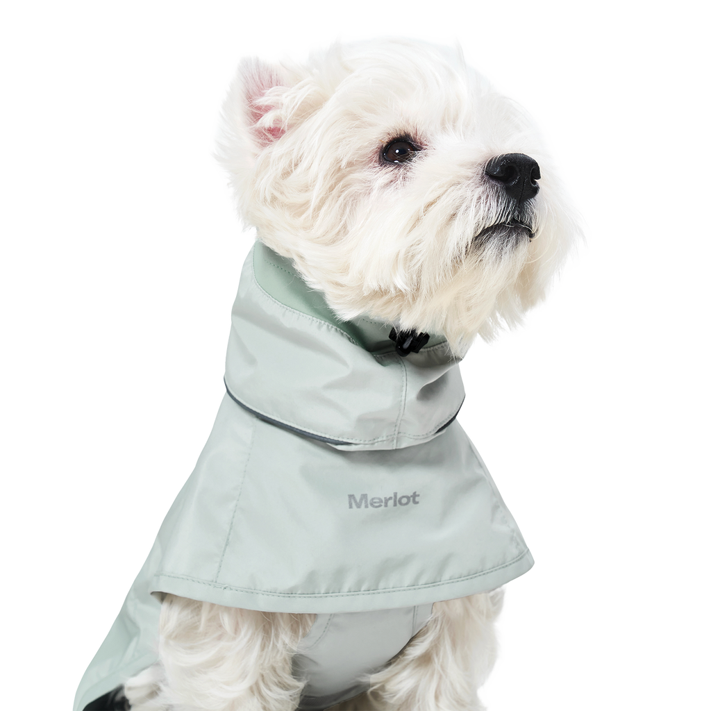 Ain™ Coat 4 Lime Stone