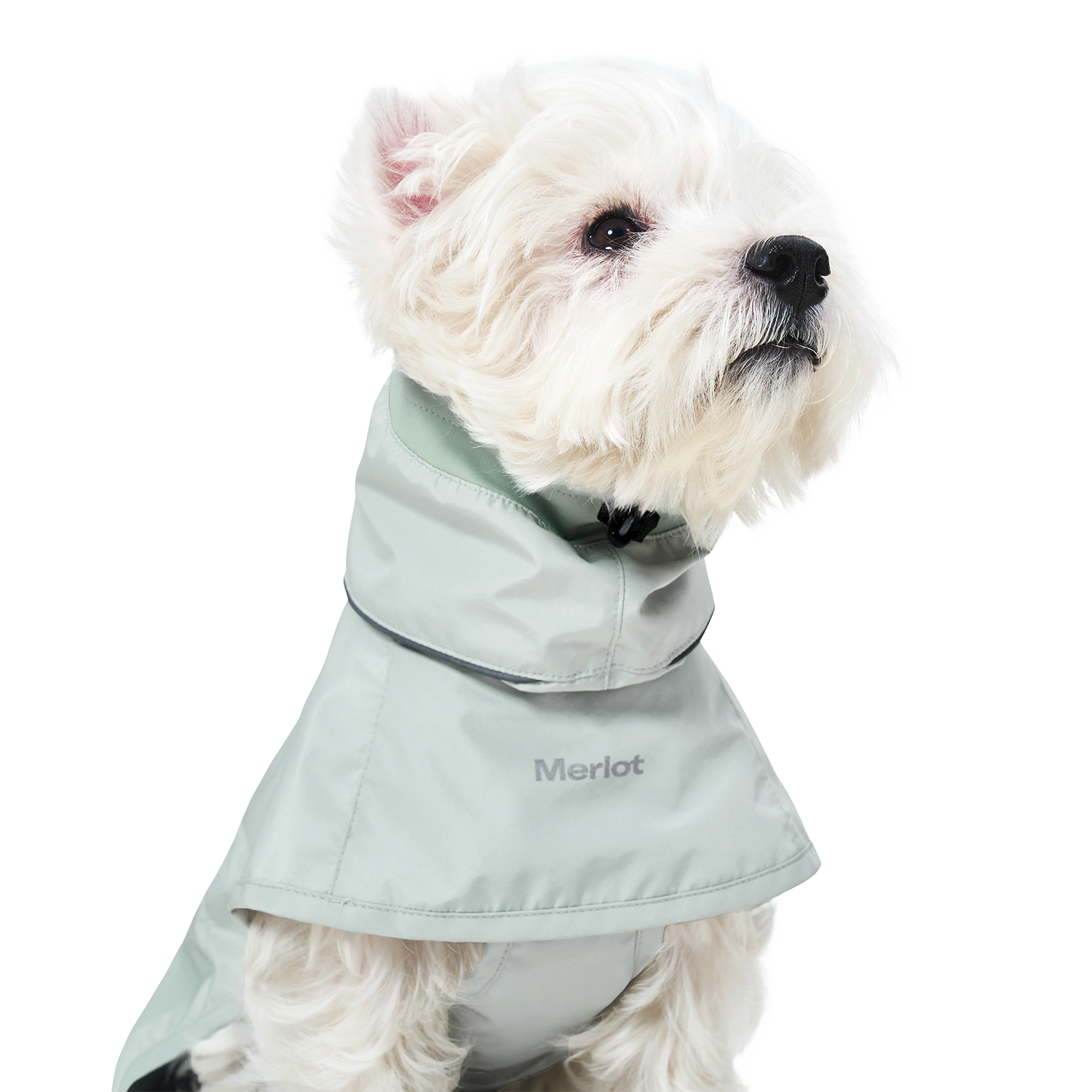 Ain™ Coat 4 Lime Stone
