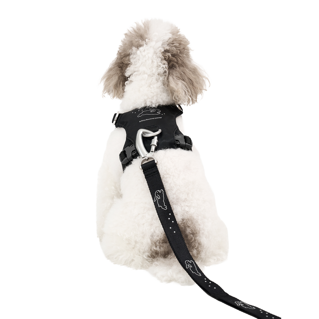 Bunny™ Leash x Kitty Bunny Pony