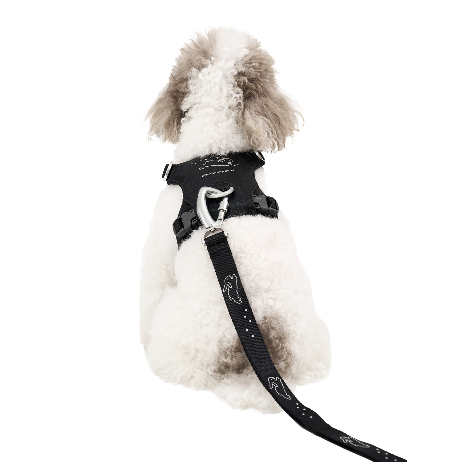 Bunny™ Leash x Kitty Bunny Pony