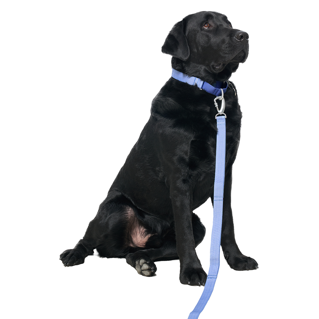 Ardor™ Collar Blue Stone