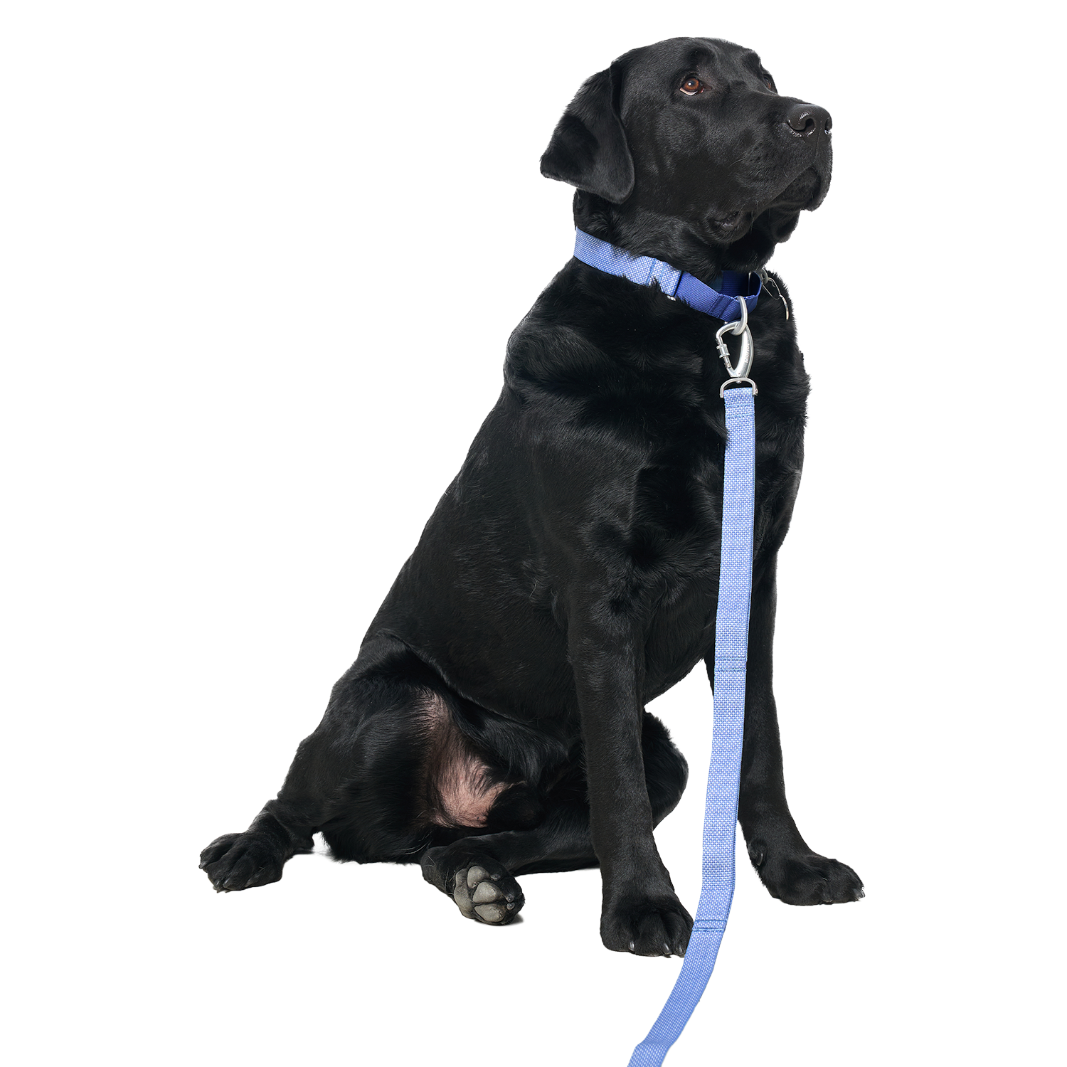 Ardor™ Collar Blue Stone