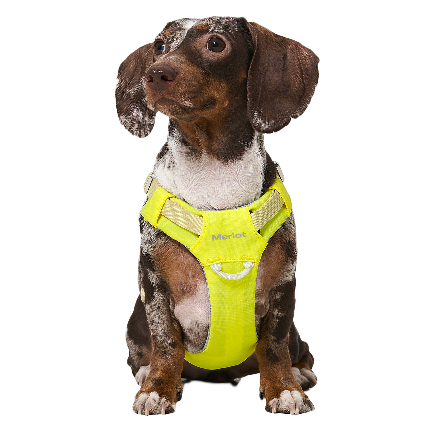 Ardor™ Harness Lemon Stone