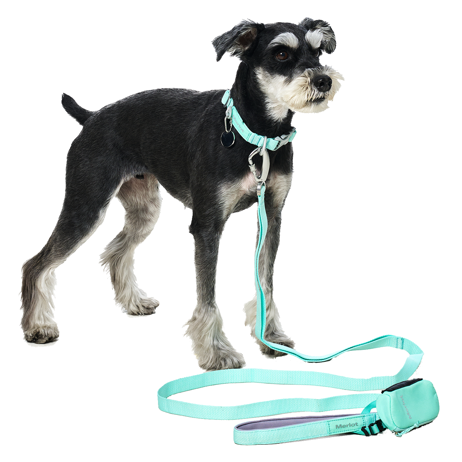 Ardor™ Collar Mint