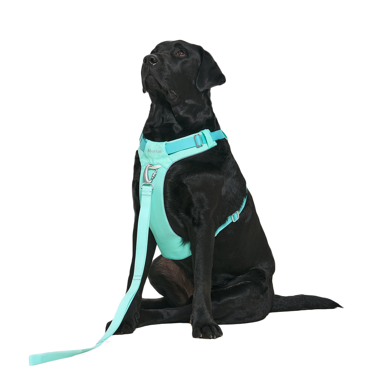 Ardor™ Harness Mint Stone