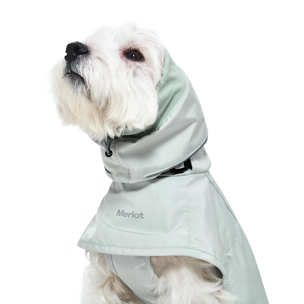Ain™ Coat 4 Lime Stone