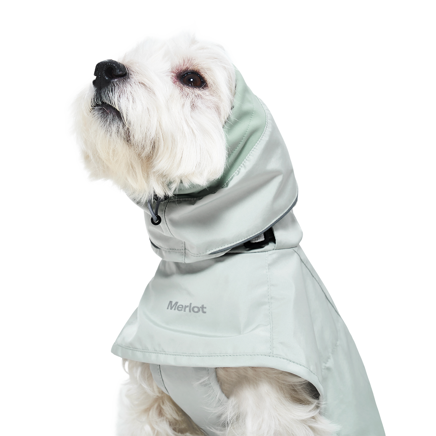 Ain™ Coat 4 Lime Stone