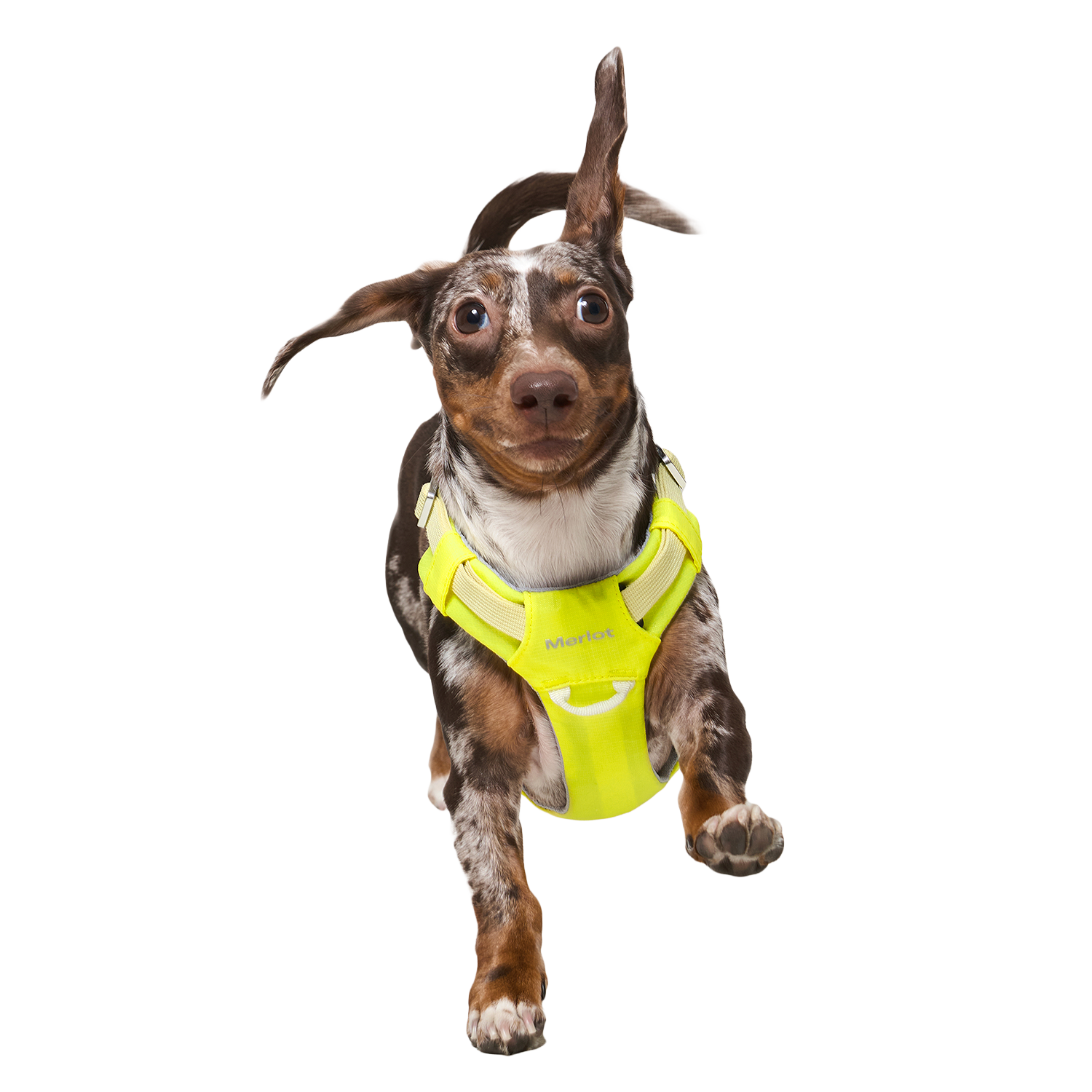 Ardor™ Harness Lemon Stone