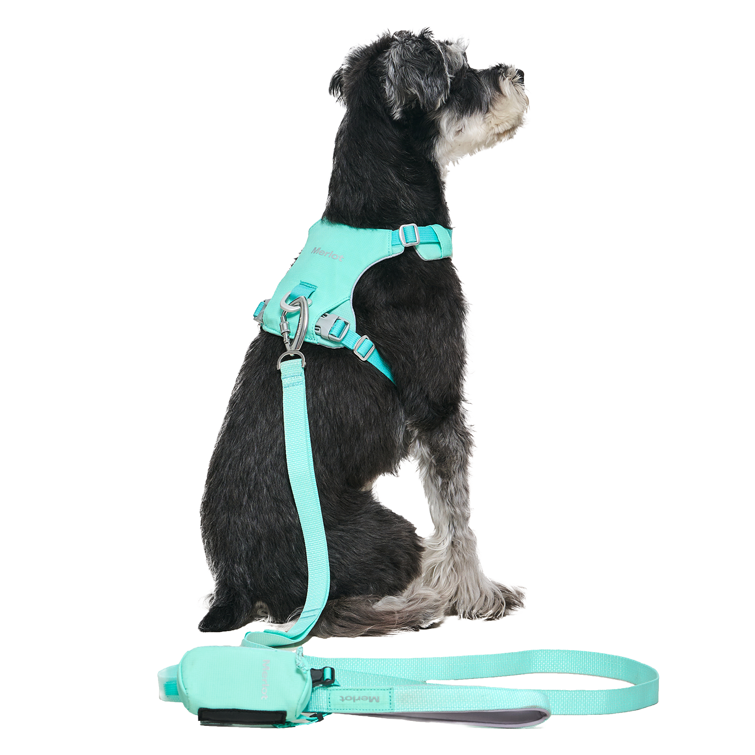 Ardor™ Harness Mint Stone