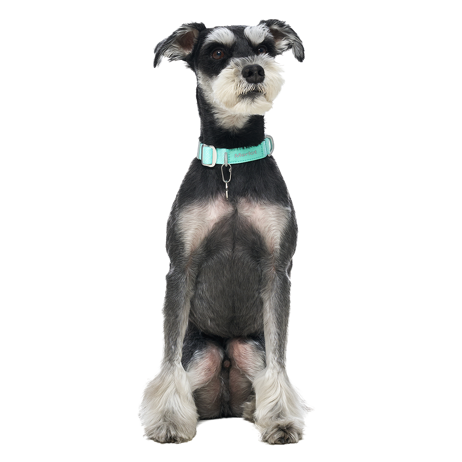 Ardor™ Collar Mint