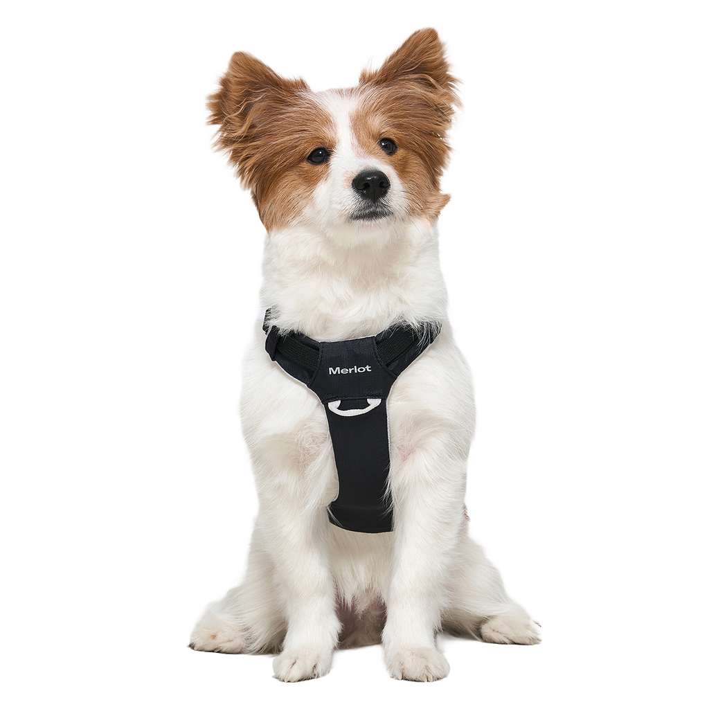 Ardor™ Harness Black Stone