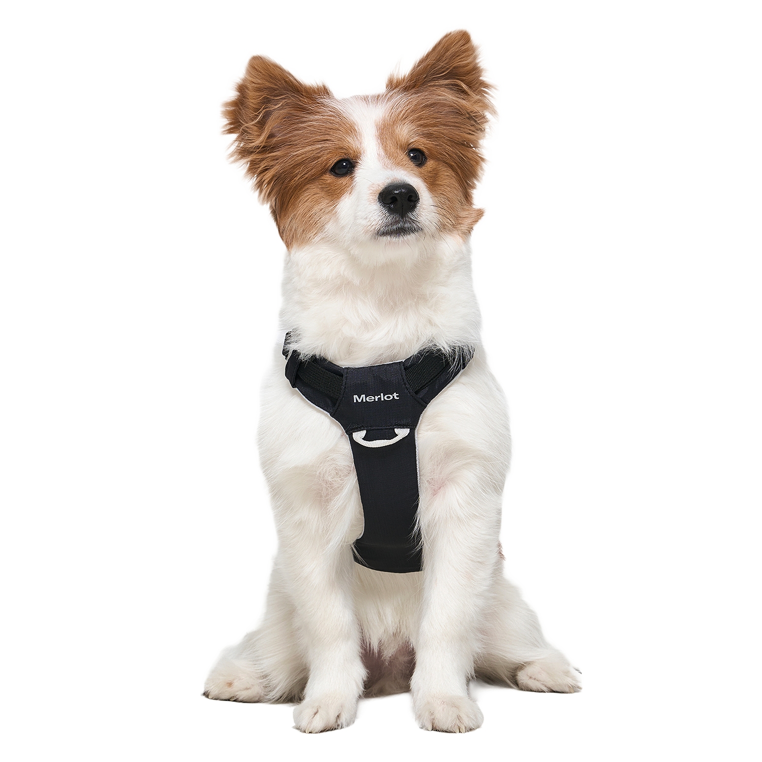 Ardor™ Harness Black Stone