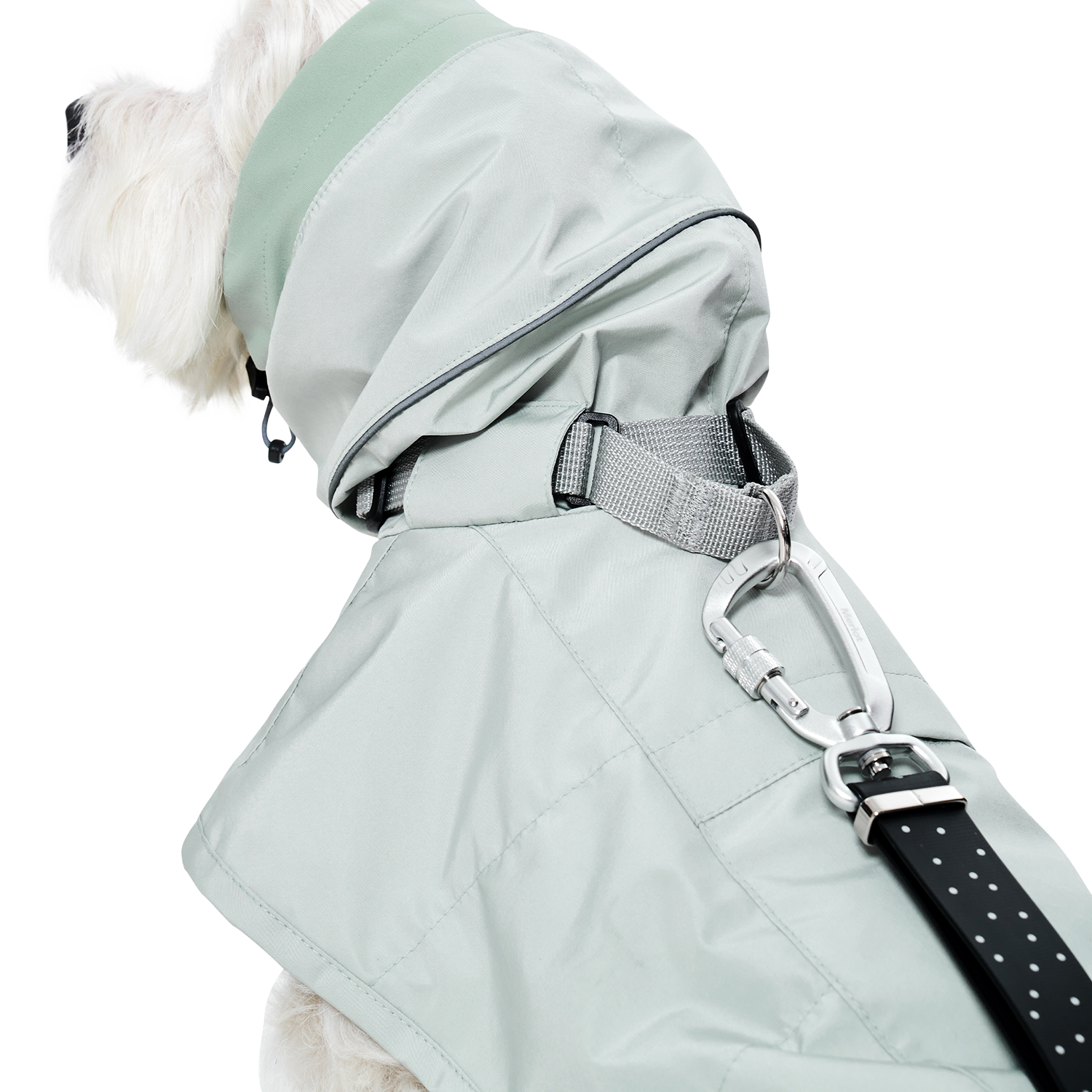 Ain™ Coat 4 Lime Stone