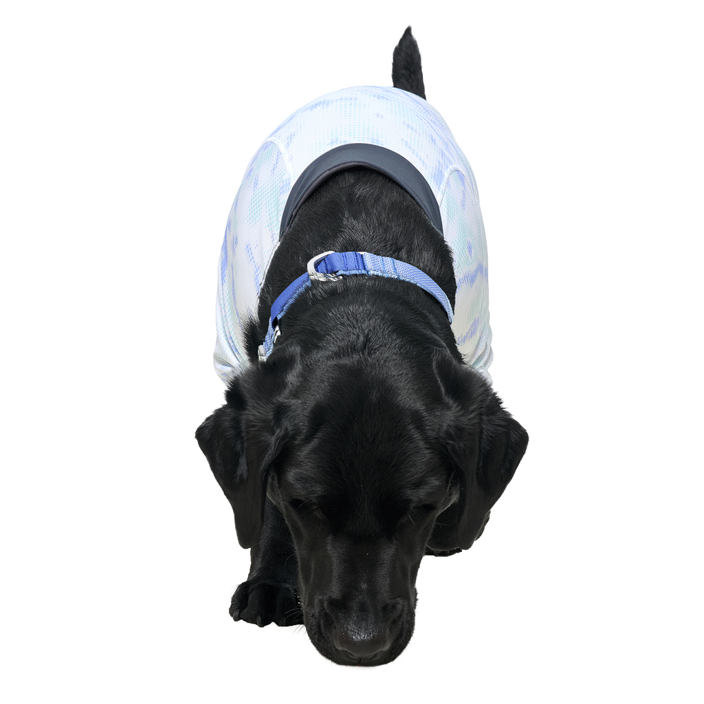 Ardor™ Collar Blue Stone