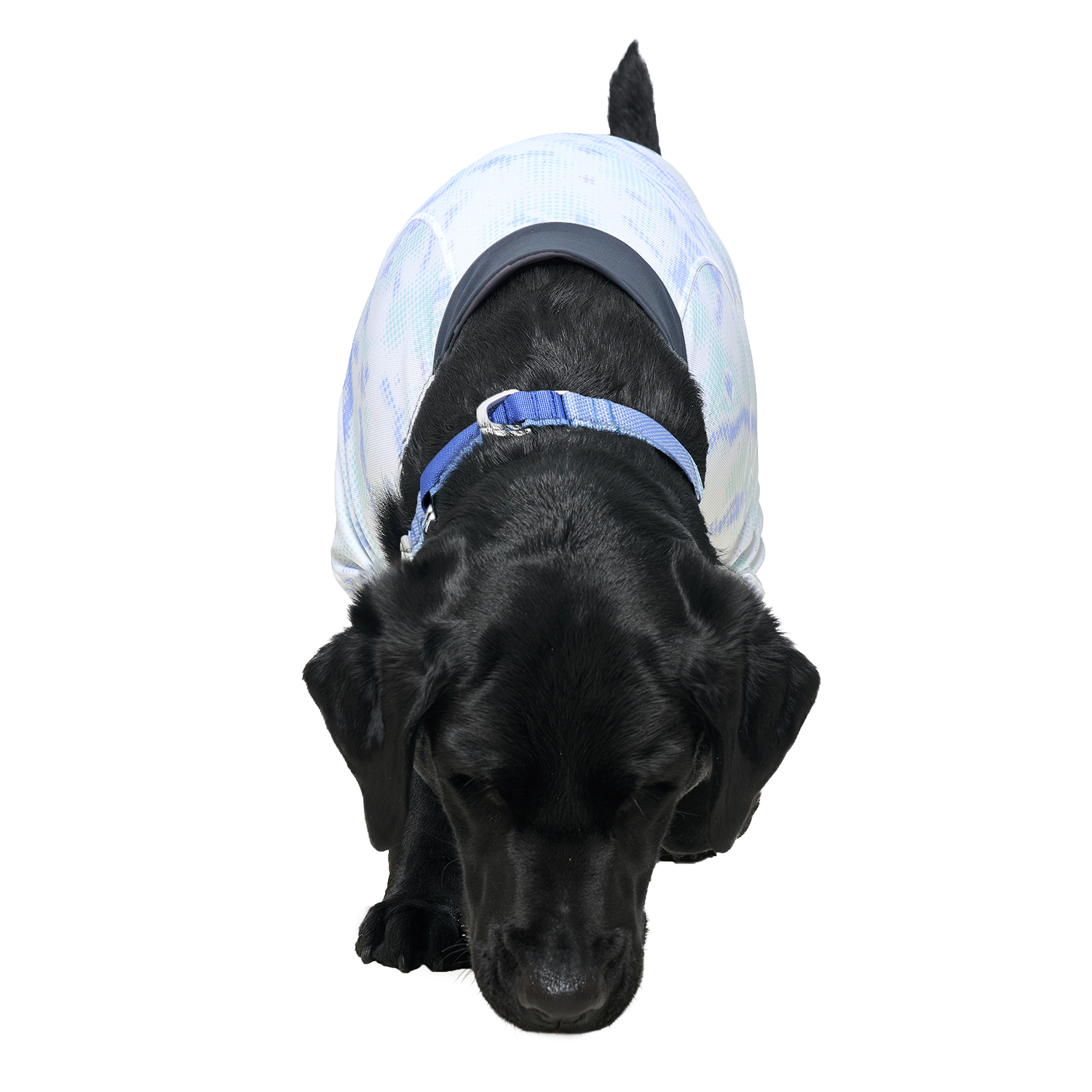 Ardor™ Collar Blue Stone