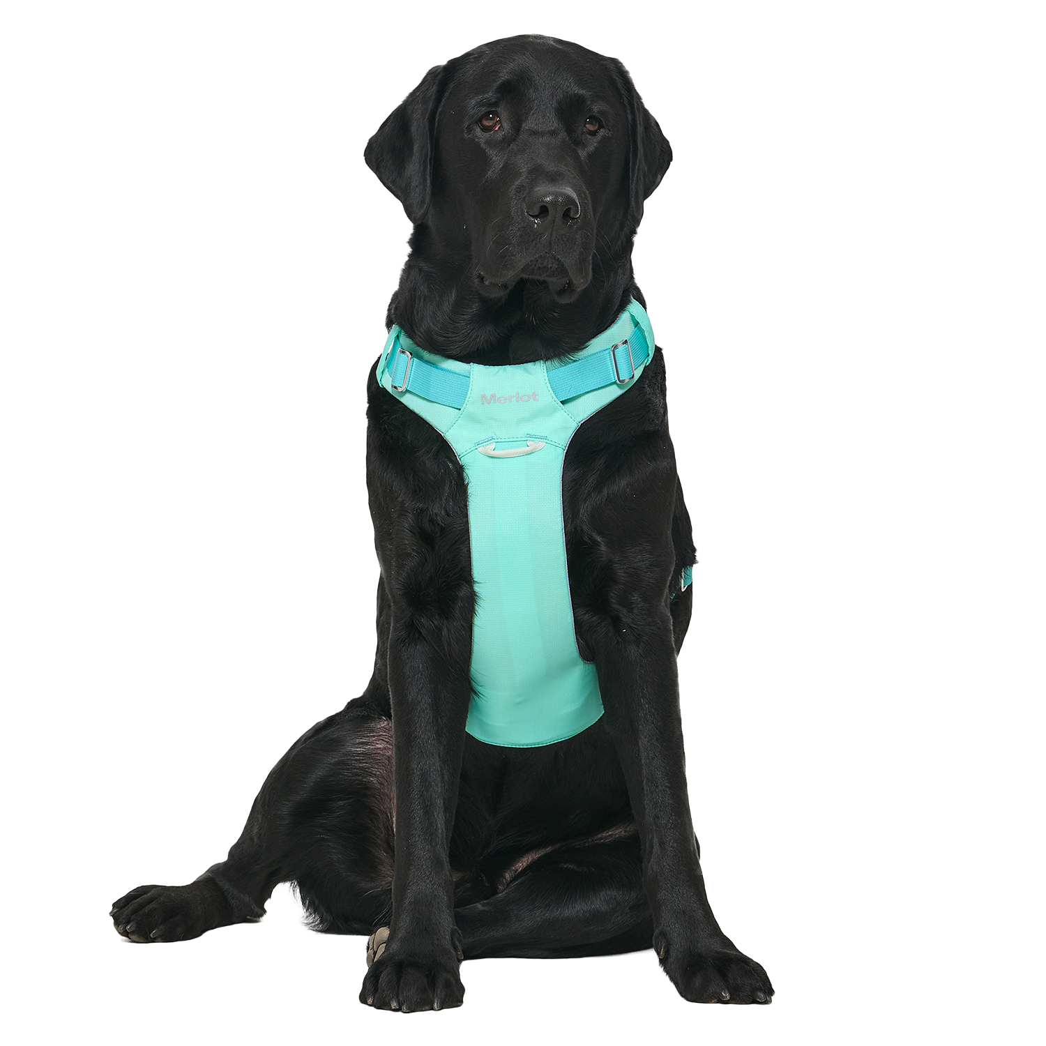 Ardor™ Harness Mint Stone
