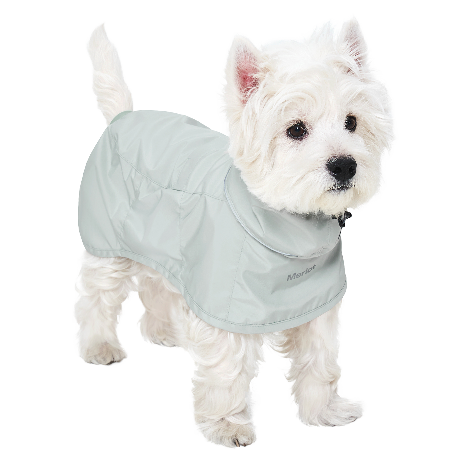 Ain™ Coat 4 Lime Stone