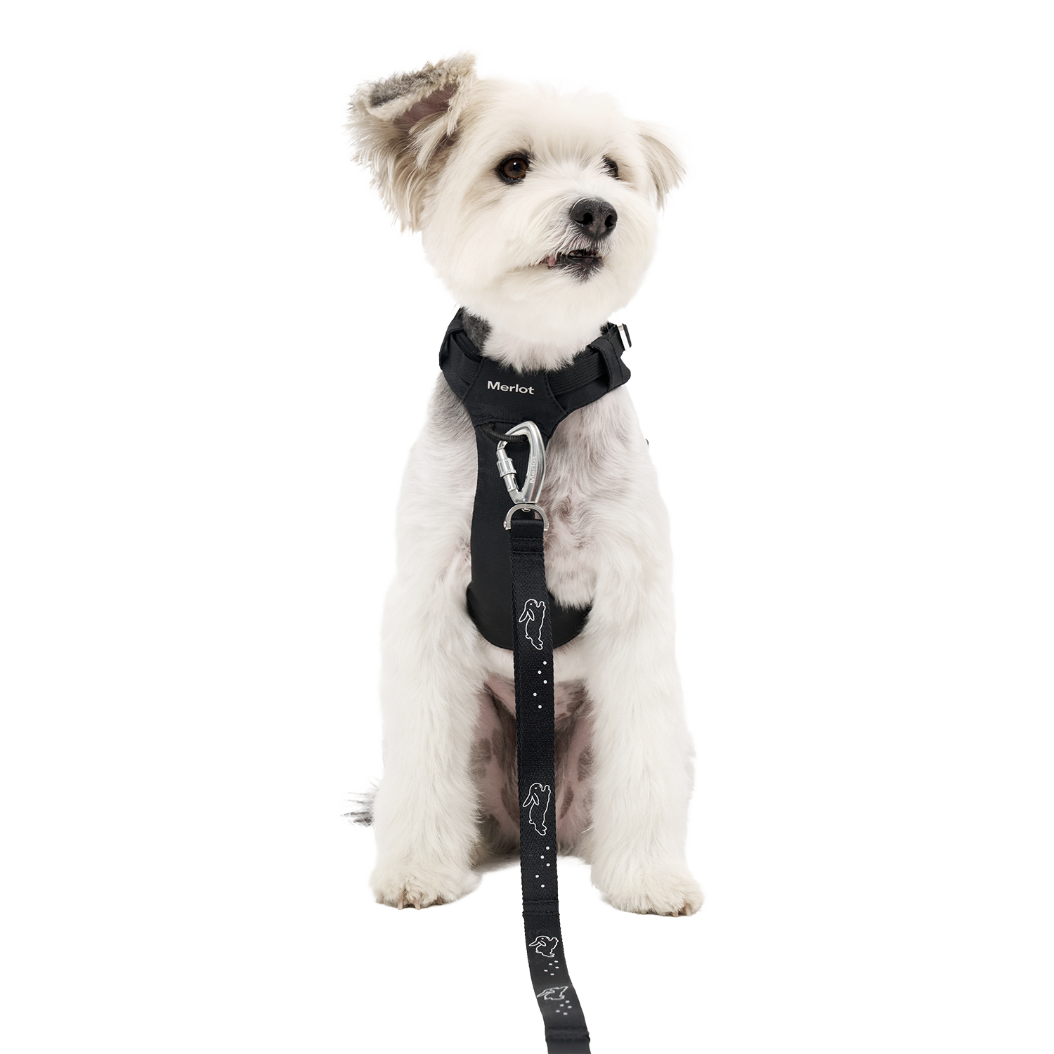 Bunny™ Leash x Kitty Bunny Pony
