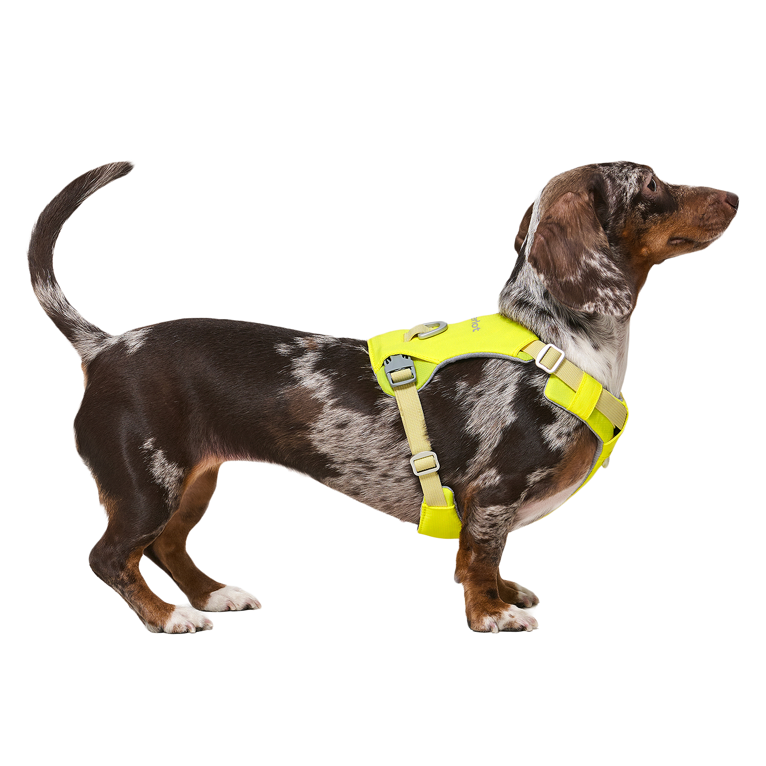 Ardor™ Harness Lemon Stone