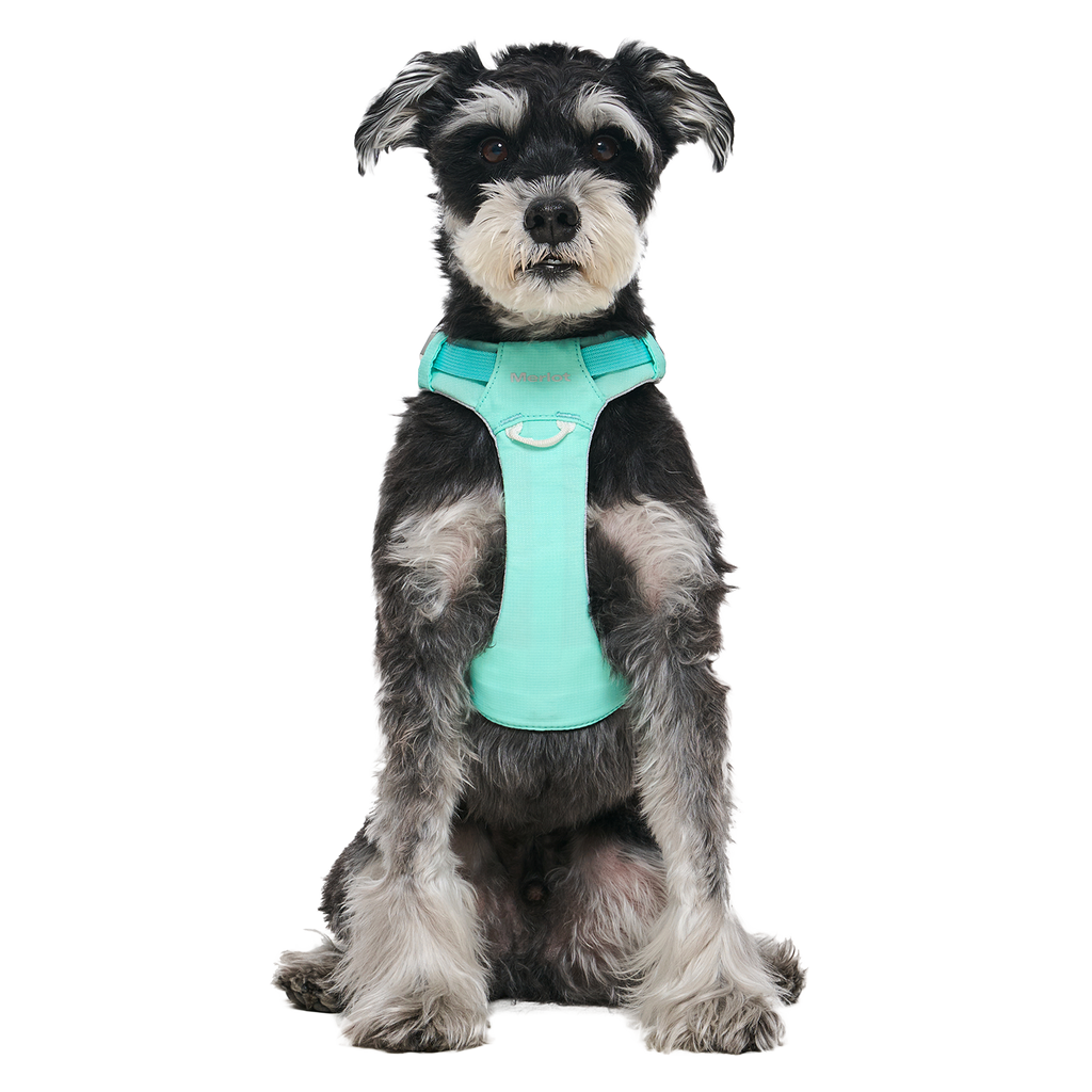 Ardor™ Harness Mint Stone