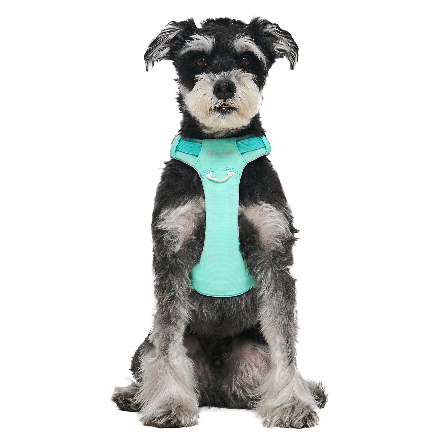 Ardor™ Harness Mint Stone