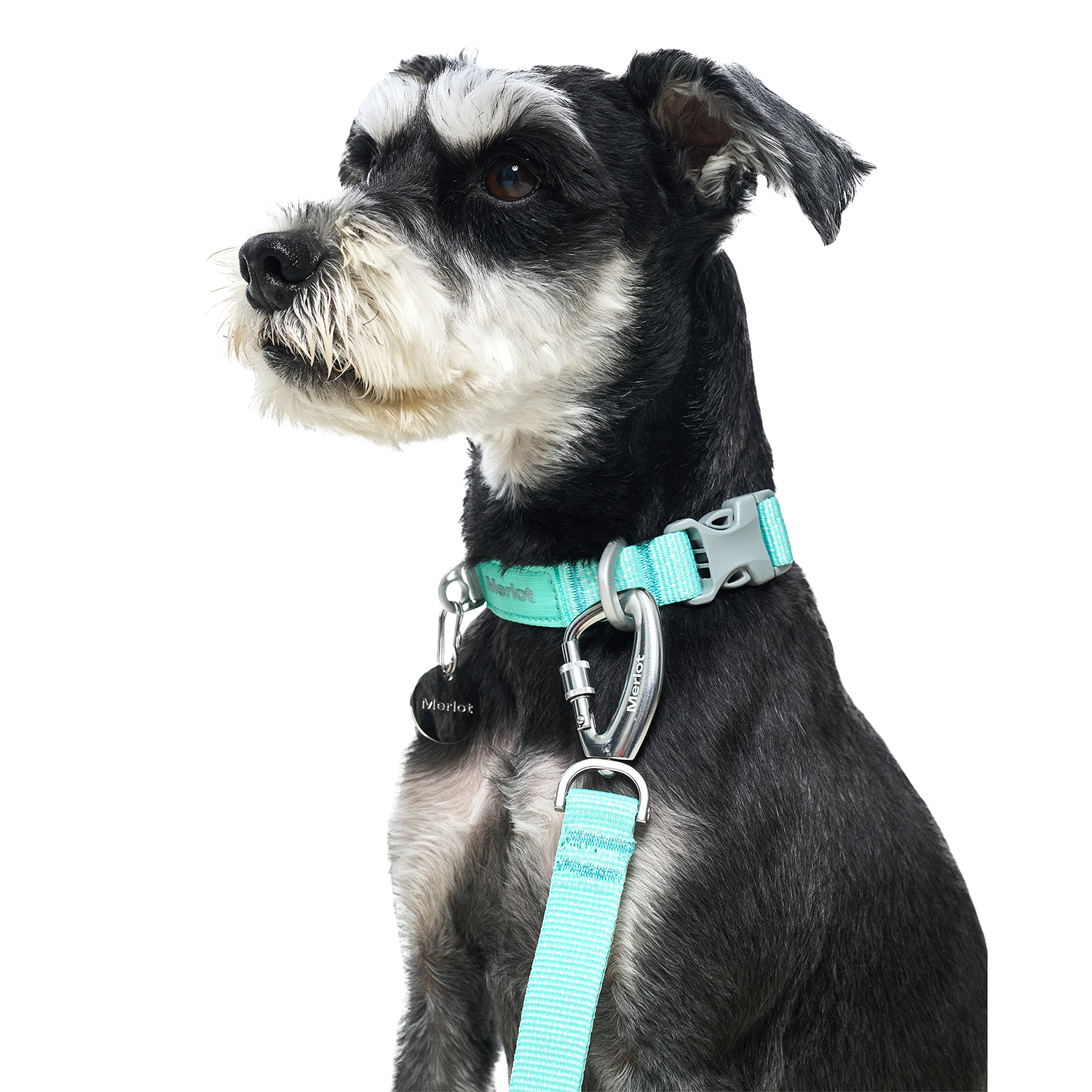 Ardor™ Collar Mint