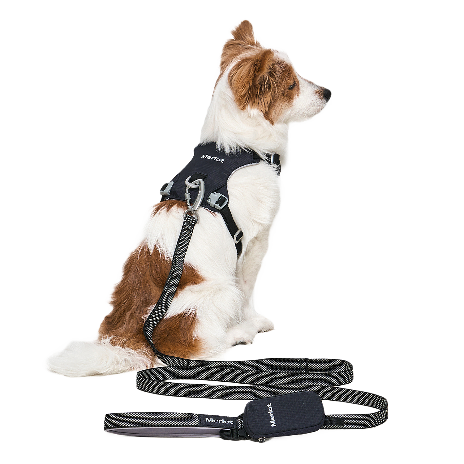 Ardor™ Harness Black Stone